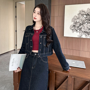 2024 Autumn and Winter New Arrival Small Joker Short Denim Coat Slim Shoulder Denim Top