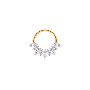 European and American fashion G23/F136 titanium seamless ring inlaid zircon horse eye nose ring ear bone ring body piercing jewelry wholesale