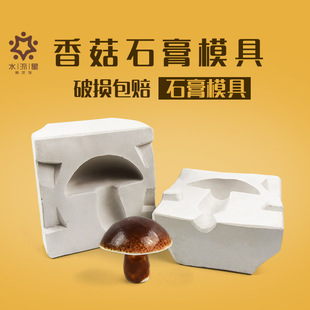 Water Meteor Pottery Mold Grouting Gypsum Mold Fruit Gypsum Grouting Mold Mushroom Vegetable DIY Mud