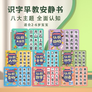 Literacy Quiet Book 3-6 Years Old Enlightenment Recognition Paste Book Early Childhood Education Reading Picture Literacy Quiet Tear Book Wholesale