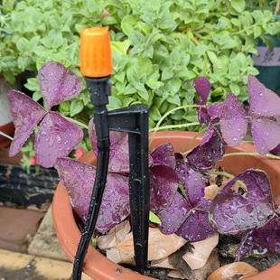 Orange atomizing nozzle 18cm ground insert rod micro-spray gardening watering atomizing watering artifact lazy man
