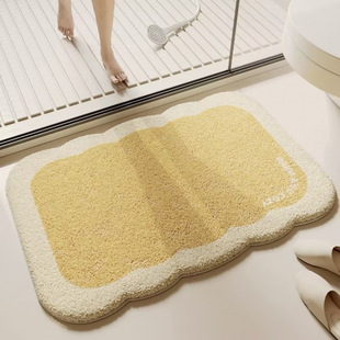 Special-shaped carpet bathroom door non-slip cashmere absorbent mat bathroom mat bathroom wet and dry separation mat