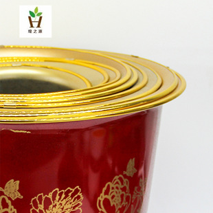 Blossom Rich Paint Pot Red Plastic Peony Pot Festive Flower Pot New Year Flower Plastic Flower Pot Wholesale