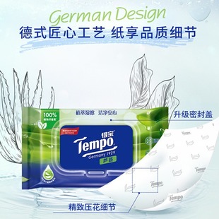 Debao Wet Toilet Paper A Pack of 40 Aloe Vera Flake Available Family-friendly Wet Toilet Paper Flushable Toilet Wet Tissue