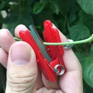 Ножницы для сбора пальцев Фермеры острые огурец кончик большой палец нож для сбора овощей