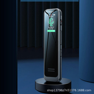 3315C диктофон профессиональный HD шумоподавление большой батареи с длительным оттоком