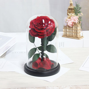 Amazon Little Prince Rose Eternal Flower Finished Glass Cover Ornaments Handicrafts Holiday Gifts Cross-border Wholesale