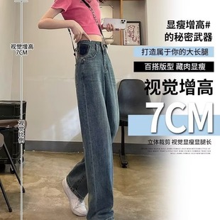 High Waist Wide Leg Jeans Women's Spring and Autumn Small Design Sense 2025 New Loose Narrow Edition Straight Pants