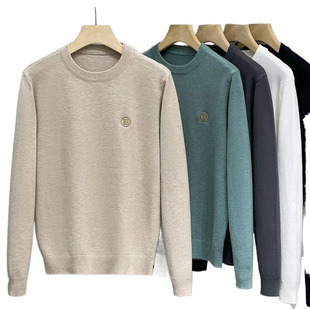 Spring and Autumn New Men's Sweater Solid Color Round Neck Slim Base Shirt Youth Long Sleeve Embroidered Casual Sweater Trendy