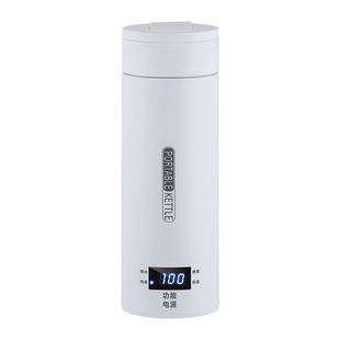 Intelligent Heating Thermos Cup Portable Electric Water Cup Car Office Small Outdoor Travel Integrated Kettle