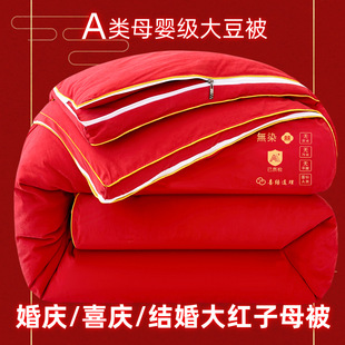 Class A Maternal and Infant Grade Non-dyed Knitted Raw Cotton Soybean Quilt Winter Quilt Spring and Autumn Quilt Summer Cool Quilt Air-conditioning Quilt