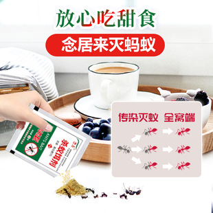 In addition to killing ants medicine household indoor whole nest end bait black and white ant control insecticide manufacturers wholesale