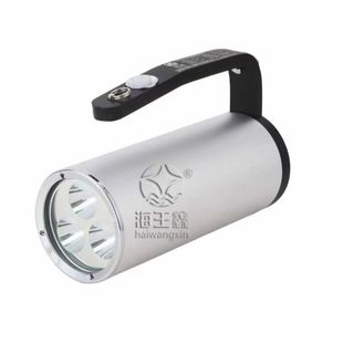 Haiwangxin FD-SI300/RWX7102 пожарный осветительный прибор портативный взрывозащищенный прожектор