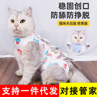 Кошка стерилизованная хирургическая одежда для кошек