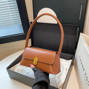 Korean Style Hand Carrying Commuter Women's Bag Western Style Small Square Bag Women's Bag Casual 2024 New Fashionable Portable Simple Shoulder Bag