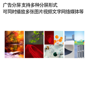 43/55/ 65inch Vertical Double-Sided Screen Advertising Machine, Floor-Standing Touch-Sensitive Capacitive Screen, Two-Sided Promotional Digital Screen Brushing Machine