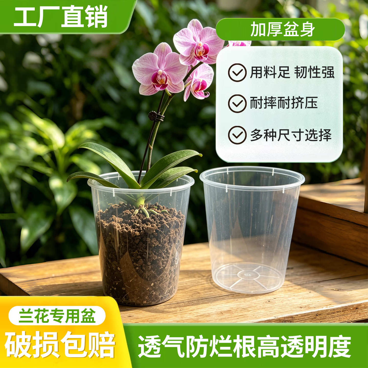 Special Root-Controlling Hydroponic Pot for Phalaenopsis Orchids, Hot Plant Monstera, Lazy Person's Root-Watching Semi-Hydroponic Flower Pot, Wet Cultivation Cup