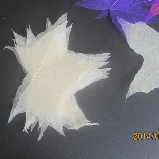Color Maple Leaf Embossing Process Raw Material Yunnan Leaf Vein Dried Flower Decorative Material Plant Baffle Leaf Vein Bookmark