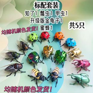 Douyin той же модели, что и часы, имитируемая верхом, боевой жук, единорог, божья коровка, узнает об когнитивных игрушках