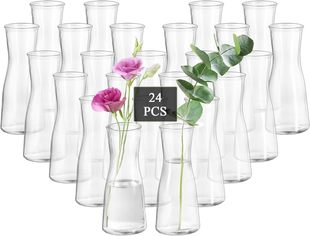 Amazon's Popular Accessible Luxury High-End Vase Ins Style Simple Transparent Glass Vase Desktop Living Room Decoration