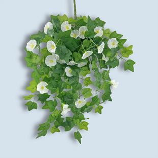 New cross-border hot sale 12 fork simulation morning glory wall hanging trumpet flower simulation flower fake flower rattan decorative flower hanging orchid