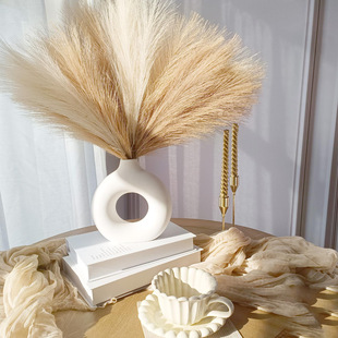 Cross-border New Product Simulation Reed Pampas Grass Home Decoration Wedding Scene Decoration Pampas Grass