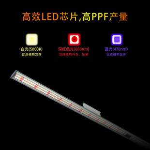 New full spectrum plant special led light bar 100W plant growth Light Plant fill light cultivation seedlings 80W Watts