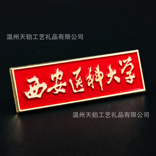 Badge custom painted metal badge custom commemorative coin medal school badge wholesale brooch badge enamel brooch