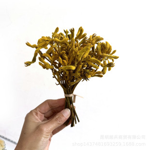 [Small palm flower] rice flower dried flower eternal flower DIY flower small bouquet flower kangaroo claw