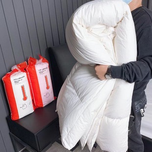 Hot-selling Yijia duvet warm double solid color feather velvet quilt core gift winter quilt wholesale group purchase