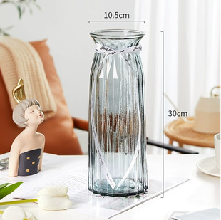 Simple European Style Creative Glass Vase Water Raising Rich Bamboo Green Plant Flowers Dried Flower Vase Living Room Decorative Ornaments