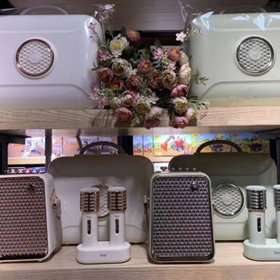 Divoom точит звук Восточный зеленый микрофон динамик bluetooth ktv аудио Kara Открытый беспроводной