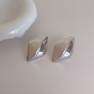 European and American Personality Geometric Metal Earrings s925 Silver Needle Advanced Sense Cold Wind Ear Stud Fashion Commuter Ear Jewelry