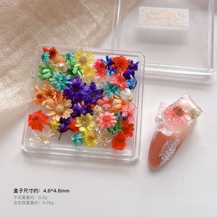 Net red explosions dried flower nail art Japanese series small fresh baby's breath small flower small daisy DIY nail accessories wholesale