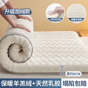 Latex Mattress Cushion Home Bedroom Mattress Cushion Student Dormitory Single Rental Special Sponge Tatami
