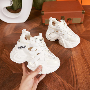 Inner Heightened Torre Shoes Women's 2024 New Summer Hollow-out Hole Shoes Thick-soled Women's Shoes Fashionable All-match Casual Sandals