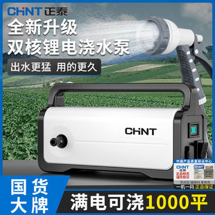 Зарядный насос Chint для полива овощей артефакт небольшой автоматический насос для сельскохозяйственного орошения на открытом воздухе водяной насос