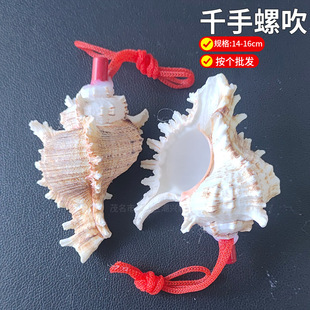 Natural conch horn can blow the horn whistle oversized shell whistle children's toy whistle small conch can blow