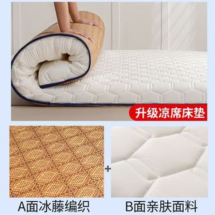 Tatami Summer Four Seasons Winter Mat Cushion Student Dormitory Single Dual-Use Folding Rental House Mattress