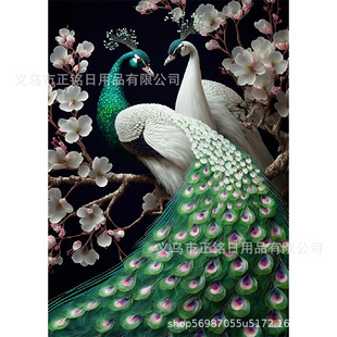 Peacock Diamond Painting Kit New DIY Diamond Painting Canvas Painting Hanging Painting Cross-border Special 30cm x 40cm