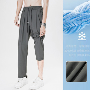 [Ice Silk Pants] 3D Willow Crotch Men's Summer Casual Pants Cool Straight-tube Quick-drying Sunscreen Air-conditioning Pants