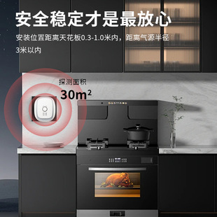 Graffiti smart wifi gas alarm home kitchen gas leak induction detector APP remote control