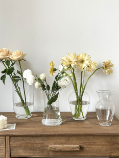 Simple Glass Transparent Glass Vase Flowers Hydration Creative Small Bedroom Decoration Living Room Flower Vase Ornaments