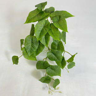 New pointed green radish wall hanging home decoration wall pendant simulation green radish hanging basket simulation fresh green plant wholesale