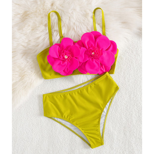 Solid Color High Waist Split Swimsuit Women's 2025 New Tube Top Wear Flower Bikini AliExpress Foreign Trade Bikini