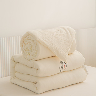 Soybean Quilt Two-in-One Button Thickened Warm Spring and Autumn Quilt Core Single Double Quilt Winter Quilt All Seasons Universal