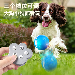 Cross-border dog toy ball remote control induction jump ball self-hi boredom artifact pet golden hair side animal husbandry bite wholesale