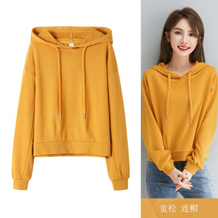 Slim Fit with Hat Pullover Sweater Women's Spring and Autumn Thin Cotton Shoulder Long Sleeve T-Shirt Base Shirt