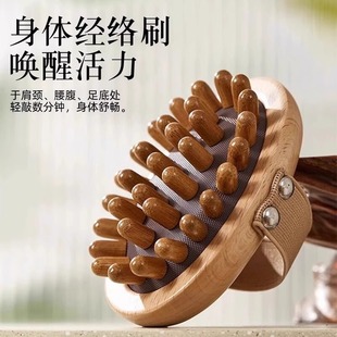Beech Air Bag Meridian Brush Head Massage Comb Air Cushion Solid Wood Body Massage Belly Dredge Essential Oil Beauty Brush