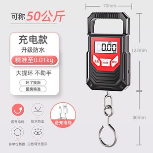 Portable Electronic Scale 50kg Portable High Precision Mini Scale Household Small Scale Buy Food Express Hand Spring Scale